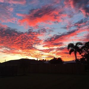 Meet your Posher, Anastasia